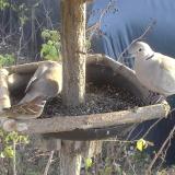 photo 2019-12-17 14-05-32