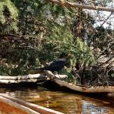 photo 2022-03-24 09-18-19 rigo