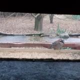 photo 2021-12-09 08-28-14