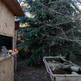 photo 2021-12-20 14-53-23