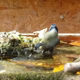 photo 2023-10-25 13-29-31 kekcinege