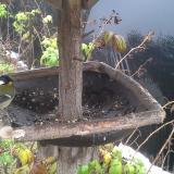 photo 2019-12-02 10-46-43