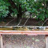 photo 2021-08-23 08-10-32