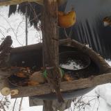 photo 2019-01-27 11-43-58