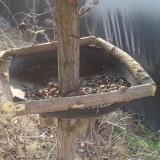 photo 2019-03-01 09-31-31