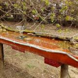 photo 2021-04-06 11-45-01