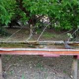 photo 2021-05-11 19-54-11