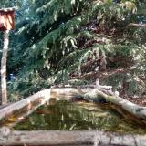 photo 2023-10-12 10-46-45