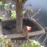 photo 2019-12-06 12-38-53