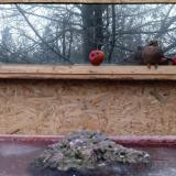 photo 2022-01-16 07-52-38