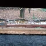 photo 2021-12-07 07-49-43