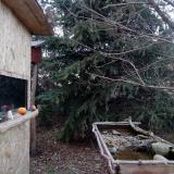 photo 2021-12-19 14-51-45