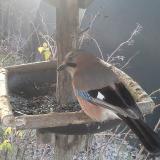 photo 2019-12-28 07-48-45