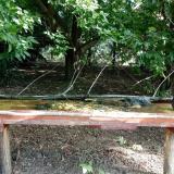 photo 2021-08-04 09-01-05