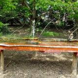 photo 2021-04-30 14-12-35