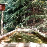 photo 2023-10-11 12-19-11