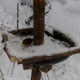 photo 2019-01-05 14-15-09