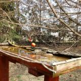 photo 2022-03-18 12-21-51