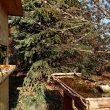 photo 2021-11-17 12-38-04