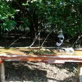 photo 2021-09-06 09-08-38