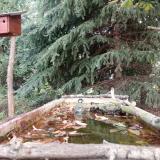 photo 2023-10-09 11-39-06