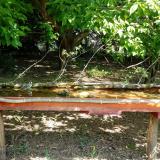 photo 2021-05-12 10-31-24