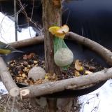 photo 2019-01-15 14-22-55