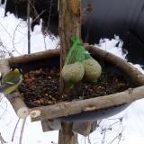 photo 2019-01-10 10-31-18