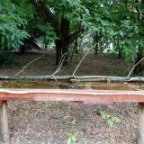 photo 2021-07-05 08-39-07