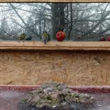 photo 2022-01-16 09-23-53