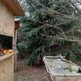 photo 2021-12-23 12-30-55