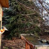 photo 2021-12-15 10-25-10