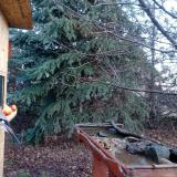 photo 2021-12-17 09-18-33