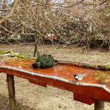 photo 2021-03-23 10-39-00