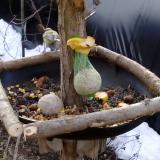 photo 2019-01-17 09-05-50