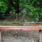 photo 2021-05-15 13-53-43