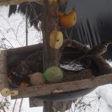 photo 2019-01-27 11-49-58