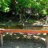 photo 2021-05-08 11-15-39