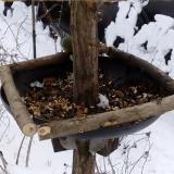 photo 2019-01-06 13-11-00