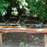 photo 2021-07-22 09-31-31