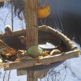 photo 2019-01-27 09-53-10