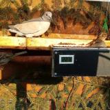 photo 2021-02-22 15-56-43