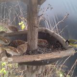 photo 2019-12-25 11-07-36