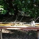 photo 2021-09-11 08-29-39