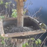 photo 2019-12-15 11-57-31