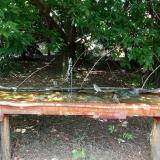 photo 2021-08-04 13-47-40