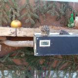 photo 2021-02-15 09-20-00