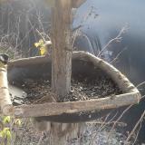 photo 2019-12-28 10-41-43