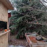 photo 2021-12-27 14-09-08