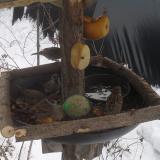 photo 2019-01-27 11-48-10